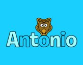 Antonio