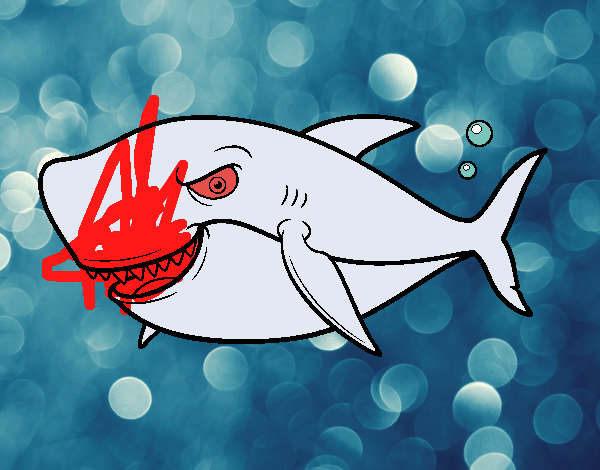 Tiburón dentudo