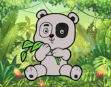 Un oso panda