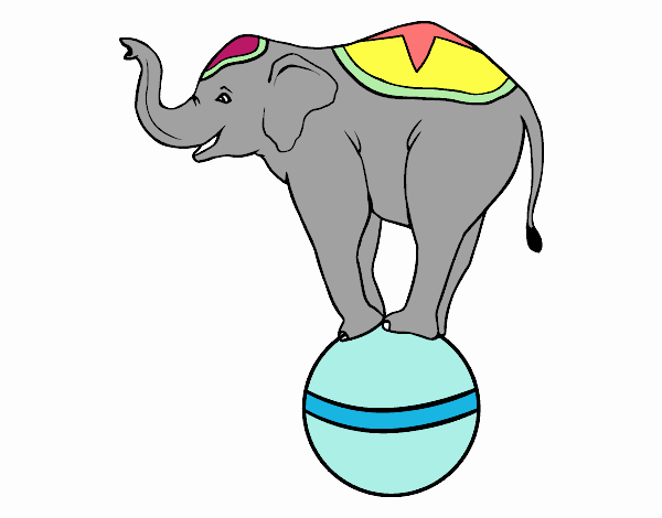 Elefante equilibrista