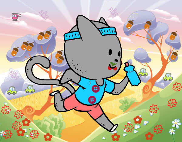 Gato runner