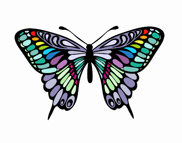 Mariposa gran mormón