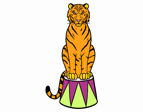 Tigre de circo