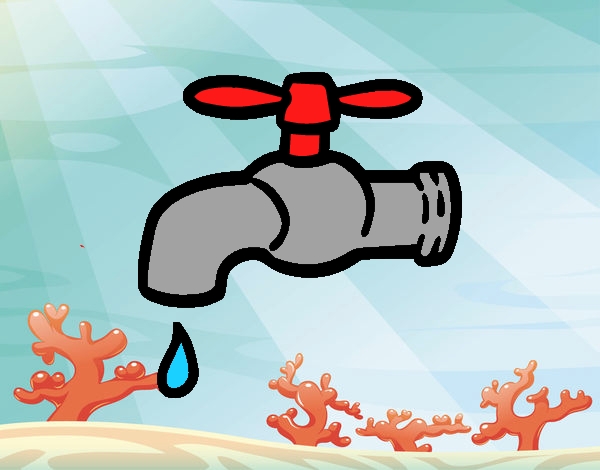 Ahorrar Agua