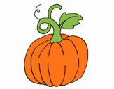 Calabaza 1