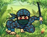 Ninja japonés