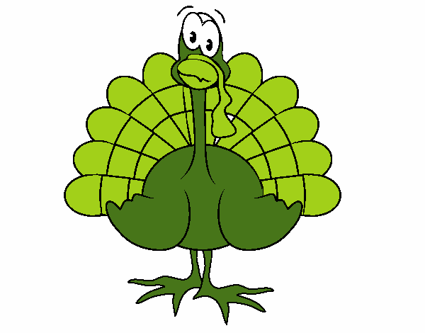 Pavo 1