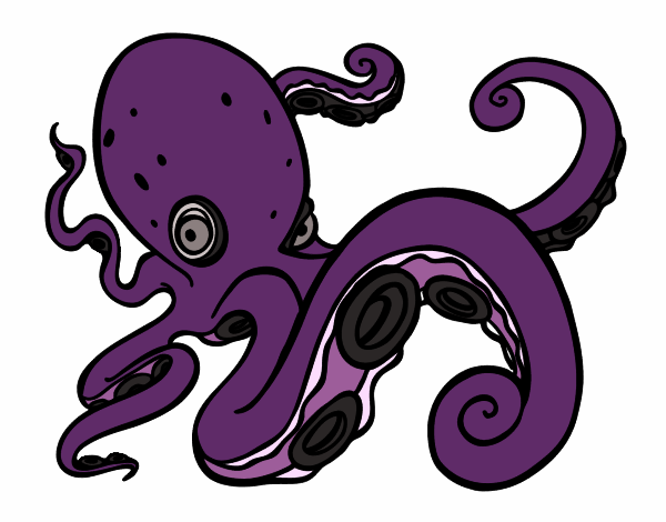 Pulpo enfadado