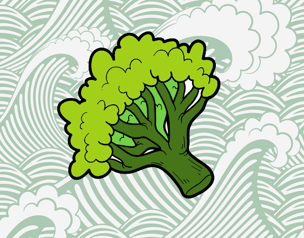 Rama de brócoli