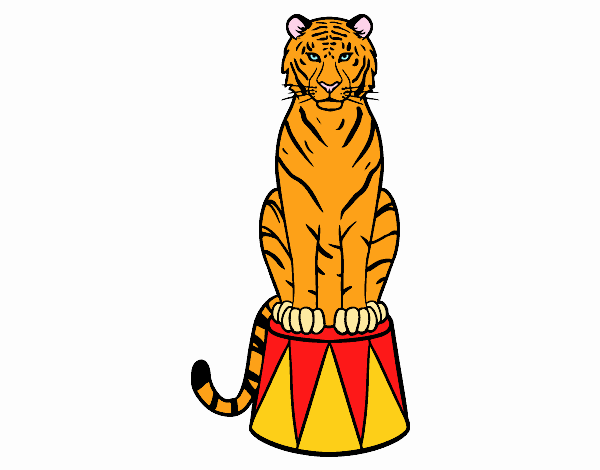 Tigre de circo