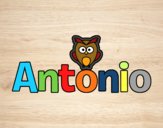 Antonio