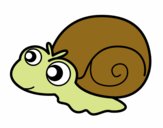 Caracol bebé