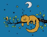 El gato y la luna