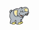 Elefante 3