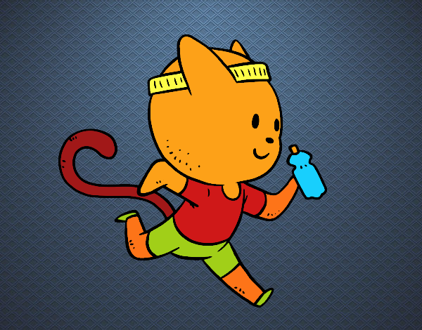 Gato runner