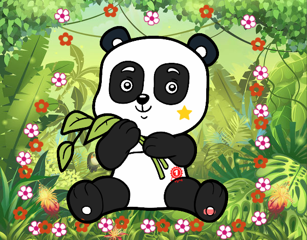 Un oso panda