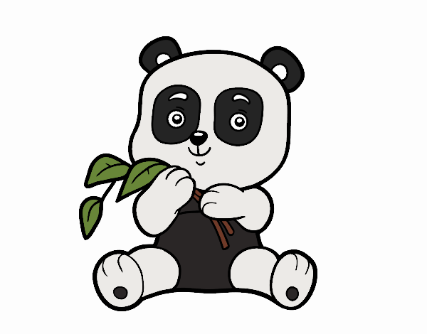 Un oso panda