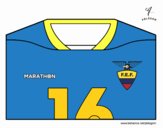 Camiseta del mundial de fútbol 2014 de Ecuador