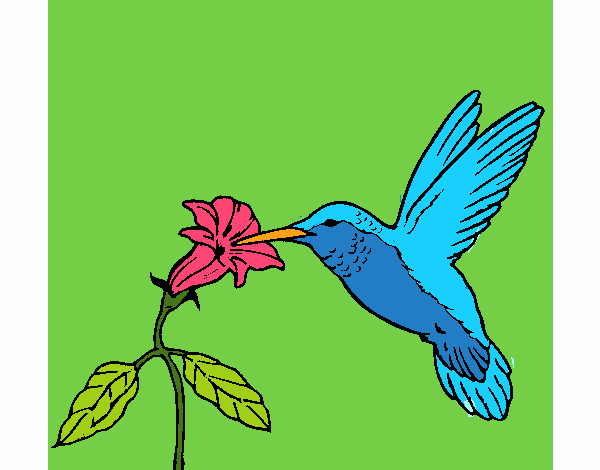 Dibujo de Colibrí y una flor pintado por en  el día 14-11-18 a  las 23:58:08. Imprime, pinta o colorea tus propios dibujos!