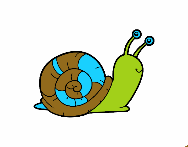 El caracol