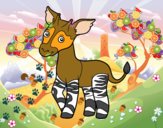 Okapi