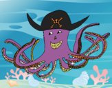 Pulpo pirata