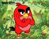 Red de Angry Birds