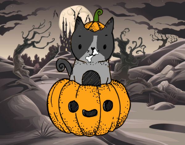 Un gatito de Halloween