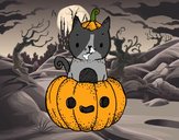 Un gatito de Halloween