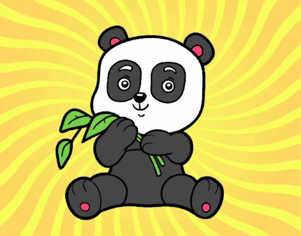 Un oso panda