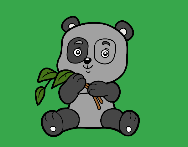 Un oso panda