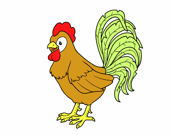 Gallo de una granja