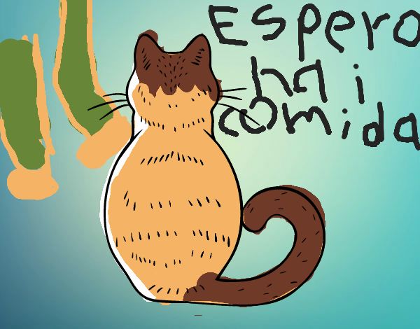 Gato de espaldas