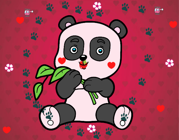 Un oso panda