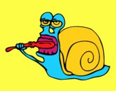 Caracol limpio