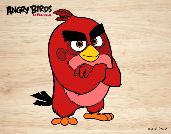 Red de Angry Birds