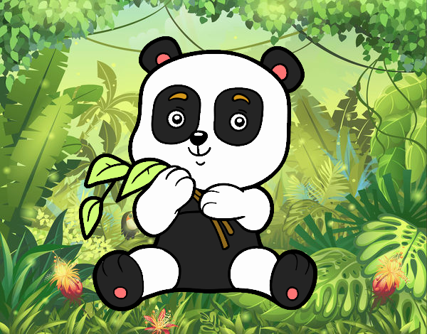 Un oso panda