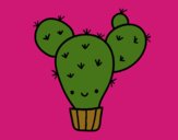 Cactus nopal