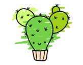 Cactus nopal