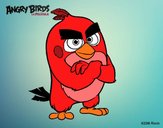 Red de Angry Birds