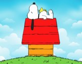 Snoopy durmiendo