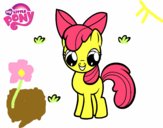 Apple Bloom