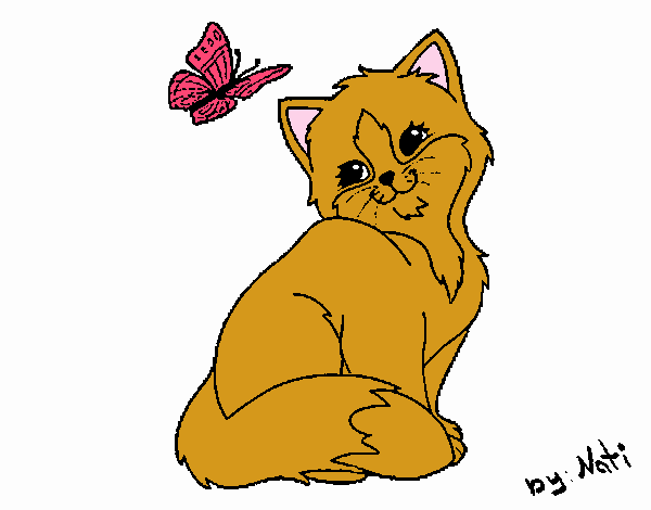 Gatito y mariposa