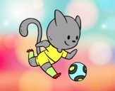 Gato jugando a fútbol