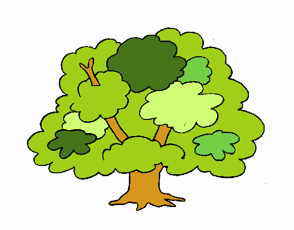 Árbol