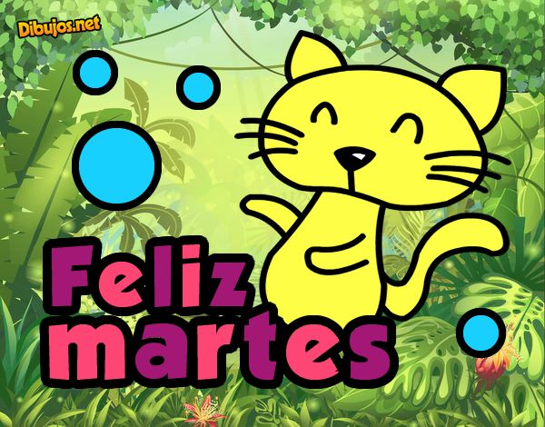 Feliz martes