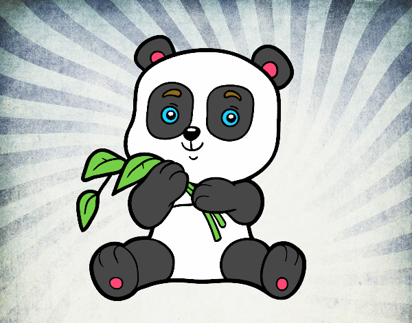 Un oso panda