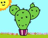 Cactus nopal