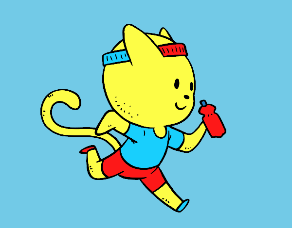 Gato runner