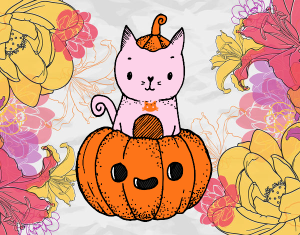 Un gatito de Halloween